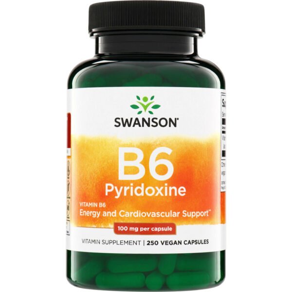 Swanson Vitamin B-6 100 mcg