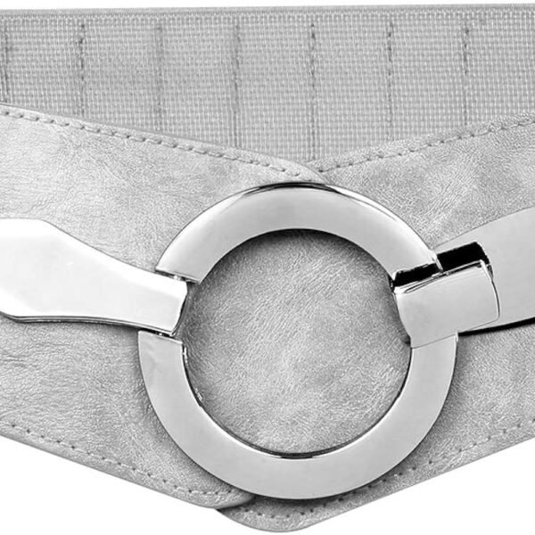 PAS #17 / BELT FABRIC WIDE SILVER